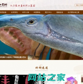 化石网