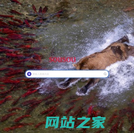 搜搜导航 - 简洁无广告的搜索主页 | sousou.cc