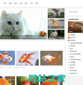 猫网 – 猫猫、狗狗、小宠、水族、爬虫