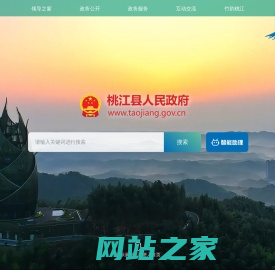 桃江县人民政府网站