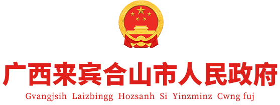 广西来宾市合山市人民政府门户网站