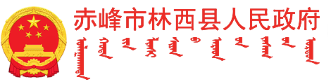 赤峰市林西县人民政府