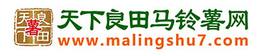 天下良田马铃薯网_马铃薯价格,马铃薯行情,土豆供求等信息平台。