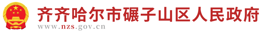 碾子山区人民政府
